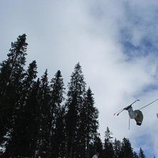 misty 3. Foto: st&aring;le. &Aring;kare: runar.