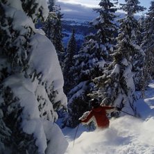 Foto: Gustav Holmer. &Aring;kare: Petter Larsson.
