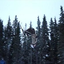 Foto: Johnny Nilsson. &Aring;kare: Anderas L&ouml;&ouml;f.