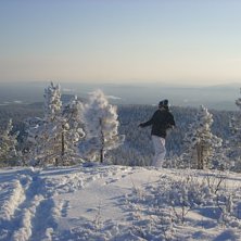 Foto: Adam. &Aring;kare: jakob nerg&aring;rd.