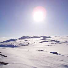 Foto: Erik Malmberg. &Aring;kare: ---------------------------------.