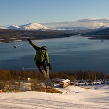 Telitailgrab. Foto: Daniel Forsberg. &Aring;kare: Joakim bj&ouml;rnehall.