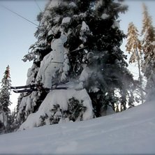 men vad g&ouml;r han? han bonkar tr&auml;det! ;). Foto: H&aring;kan Nilsson. &Aring;kare: P&auml;r sundqvist.