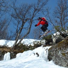 G&uuml;tt hopp ute i skogen n&aring;gon stans i Hemsedal.... Foto: Rickard. &Aring;kare: Jag.
