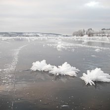 Naurens micro under. Titta noga! Isrosor till jul.. Foto: Mats M&auml;ki. &Aring;kare: Isrosor.