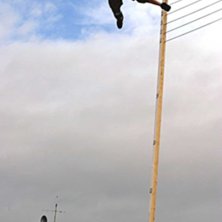 Satsar p&aring; v&auml;rldsrekord.... Foto: Kazoom. &Aring;kare: Adil Dyani.