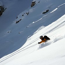 Foto: simon ricklin. &Aring;kare: spider.