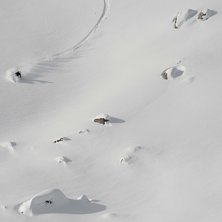 Foto: P&auml;r Blomqvist. &Aring;kare: Frida Ahlb&auml;ck.