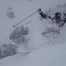 Inga skuggor p&aring; mina bilder . Foto: Peter grahn. &Aring;kare: Erra.