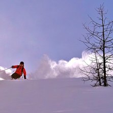 Sk&ouml;n dag i skogen, bluebird och sk&ouml;na polare.. Foto: Adam Jonsson. &Aring;kare: Frida Alderin Harling.