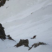 Foto: Tomek Debiec. &Aring;kare: Maciek Leszczynski.