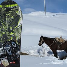 Foto: Mattias Ridung.