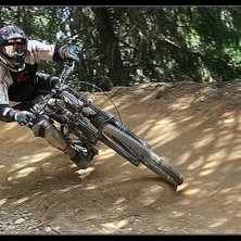 Foto: Kjell Holtenkrans. &Aring;kare: Lill Holtis, Tyres&ouml;.