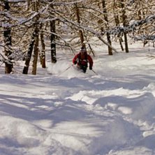 Foto: Roger Larsson. &Aring;kare: Tobias Andersson.