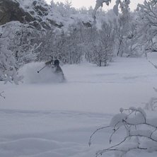 Foto: Linnea Axberg. &Aring;kare: Anders Floden.