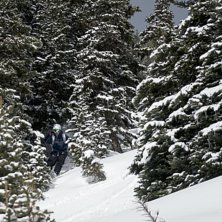 L&auml;gger en sk&ouml;n skogslinje p&aring; bergets baksida. Foto: Ludwig Andersson. &Aring;kare: Simon Jansson.