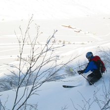 Hittade en fin liten l&ouml;pa att leka med.. Foto: Niklas Ruthner. &Aring;kare: Marie Karlsson.