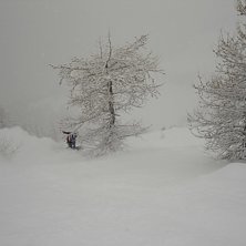 Flatlight, dimma, sn&ouml;storm, och sjukt bra me fluf. Foto: Dennis Andersson. &Aring;kare: Nikke.