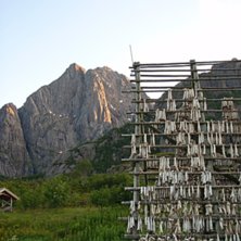Klockan &auml;r 2 p&aring; natten och det &auml;r om&ouml;jligt att. Foto: Johan M&ouml;rk.