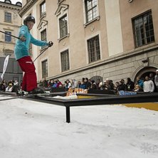 Winter Show i Kungstr&auml;dg&aring;rden 2014.. Foto: Hedda Berander.