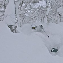 en avslutning v&auml;rd Niseko, 3 dagar av totalt pude. Foto: Patrick S&ouml;dermark. &Aring;kare: Adam Hedstr&ouml;m.