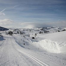 P&aring;sken i bilder. Fantastisk forhold p&aring; Haukelifj.