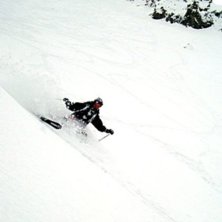 P&aring; v&auml;g ner mot Tabucskogen. Foto: Petteri Koste. &Aring;kare: Ulrika Looser.