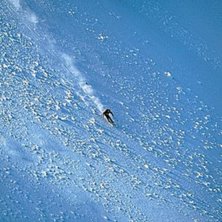 Fort e bra.. Foto: Mike Truelove. &Aring;kare: Patrik Leidstedt.