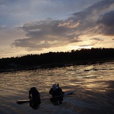 Snygg bild med br&auml;dan och n&auml;r solen g&aring;r ner. &Aring;kare: Tyv&auml;rr.