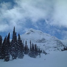 Foto: Olle Svensson. &Aring;kare: Fernie.