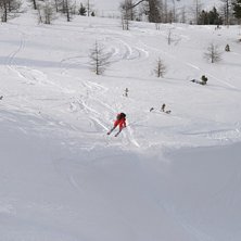 Robin 180 i naturvall. Foto: Adam Jonsson. &Aring;kare: Robin Ljungqwist.