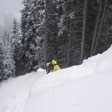 Ett trevligt &aring;k i skogen. Foto: Robin Elfsberg. &Aring;kare: Kalle Kax Karlgren.