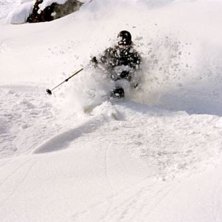 Foto: tobbe. &Aring;kare: mange.