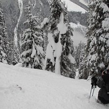 Foto: Martin Hansson. &Aring;kare: Gordon Dreger.