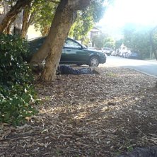 Finn ett fel!. Foto: Kristoffer Frenkel. &Aring;kare: Brad.