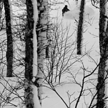 Foto: Johan Karlsson. &Aring;kare: Tomas Halvarsson.