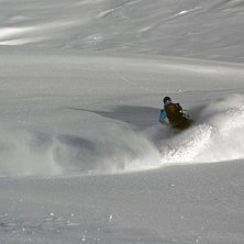 Fin sn&ouml; , fin sv&auml;ng..... Foto: Tomas Pernek. &Aring;kare: Katrin Baumgartner.