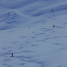 Foto: Stefan Wallgren.