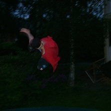 Foto: johansson_pojken. &Aring;kare: axelssons _pojken.
