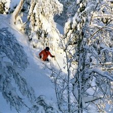 Foto: P&auml;r Lindholm. &Aring;kare: Anders Persson.