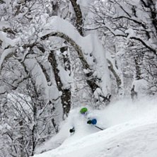 Foto: Joakim Wadberg. &Aring;kare: Joakim Wadberg.