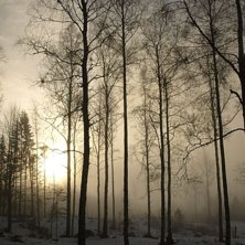 Morgon dimma. Foto: Hampus Eklund.