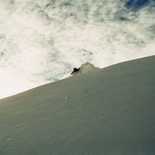 Foto: Sofia Johansson. &Aring;kare: Daniel Eriksson.