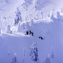 Foto: Jesper Andersson. &Aring;kare: Locals.