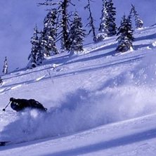 Foto: Thomas Hellstr&ouml;m. &Aring;kare: Jesper Andersson.