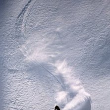 Foto: Per Cr&eacute;pin. &Aring;kare: Nicklas Hansen.