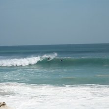 Ok&auml;nd snubbe tar en fin v&aring;g och bjuder p&aring; lite . Foto: Johan Isaksson. &Aring;kare: Ok&auml;nd.