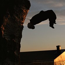 var ute o fota joppe i solnedg&aring;ngen!. Foto: Anton Niemi. &Aring;kare: Joppe.