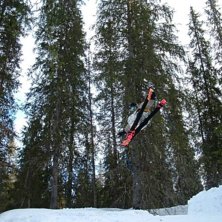 k&oslash;dd h&aring;pp. Foto: st&aring;le. &Aring;kare: runar.