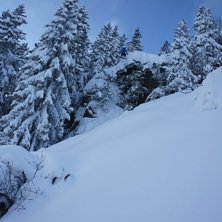 Foto: Olle Strandberg. &Aring;kare: Robert Strandberg.